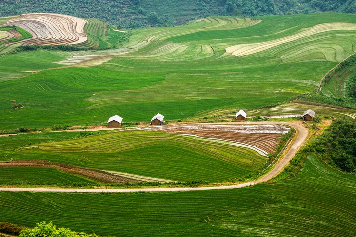 Tour of northwestern region - ảnh 2